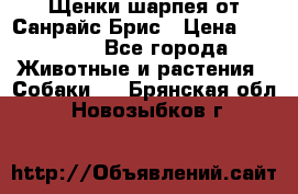 Щенки шарпея от Санрайс Брис › Цена ­ 30 000 - Все города Животные и растения » Собаки   . Брянская обл.,Новозыбков г.